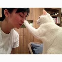 柴咲コウの猫と見つめあう“ふれあいショット”にファン絶賛 「とても優しい眼」「癒されました」と反響