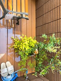 堀ちえみ『そろそろ「がん」で傷んだ心のケアを考えようかなと思うこの頃』