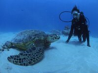 熊切あさ美『ごめんなさい』