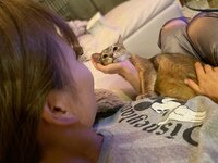 しょうくん『【質問コーナー】桃の可愛くてたまらないところ他15件』