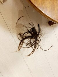 くわばたりえ『☆☆バタる☆234日目☆あちゃー☆☆』