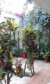 アレクサンダー『仕送りで家のリフォームする カルメン母...