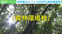 【映像】2024年度から“1人1000円”住民税に上乗せ 森林環境税とは