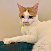 坂上忍『そろそろ、この子も誕生日』