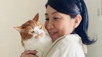 松居直美 愛猫・ハナちゃんを埋葬 現在の心境つづる