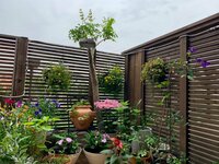 ナオコの旦那『曇り空のステイホーム』