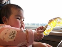 たんぽぽ白鳥久美子『ゴミにあらず！』