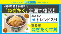 たまねぎの量が5倍！ 「ねぎだく牛丼」全国発売開始でTwitterトレンド入り