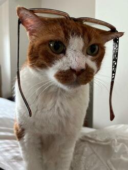  松居直美、自身へのご褒美で購入したずっと欲しかった品「憂鬱なことも乗り越えてがんばるよ」 