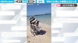 投稿者「初めての海に大興奮なちびっ子」←ベビーチェアに座って、上品に拍手する1歳の女の子に「綺麗な海！特等席だ」「なんて素敵な光景」と絶賛の嵐