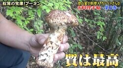 ヒマラヤで高級食材・松茸が見向きもされなかった理由「え！松茸の宝庫なんだ！」驚きの声