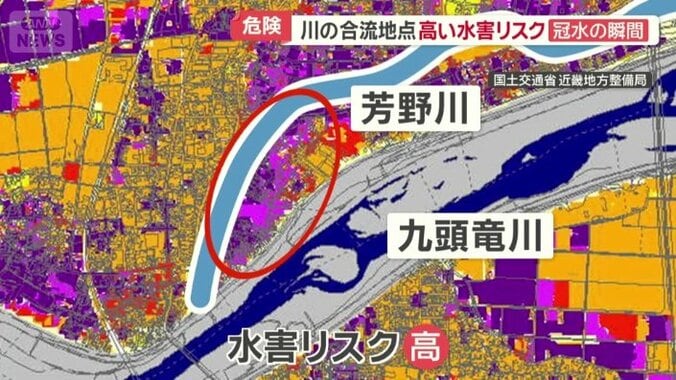 紫色が広がる