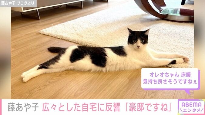 藤あや子 ブログより