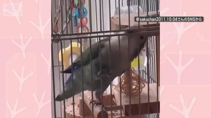 体を大きく上下…まるでロックスター！