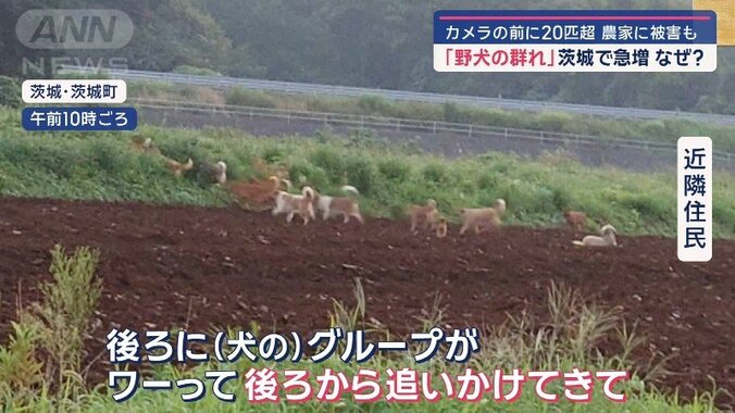 「後ろから追いかけてきた」