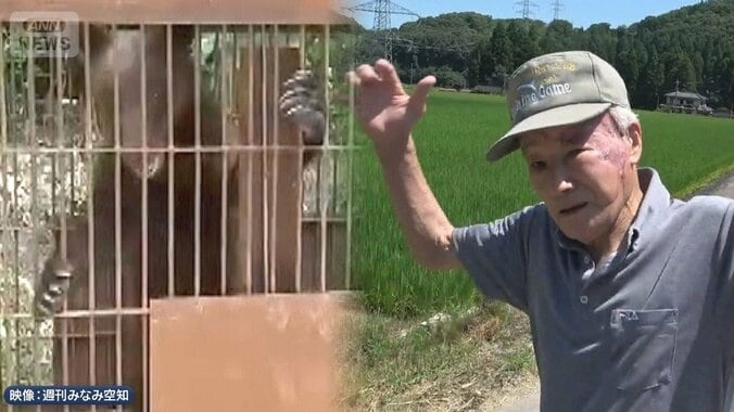 なぜ？猛暑でクマ相次ぐ出没　新米が育つ水田を疾走 1枚目