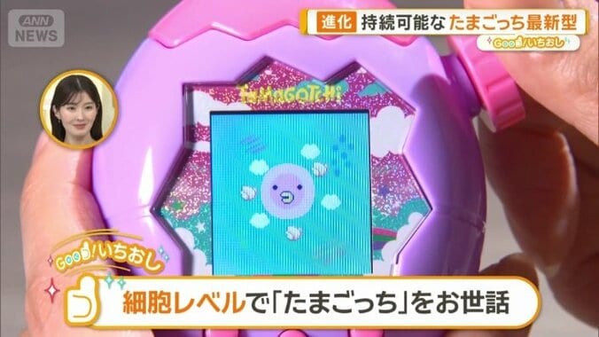 細胞単位でお世話