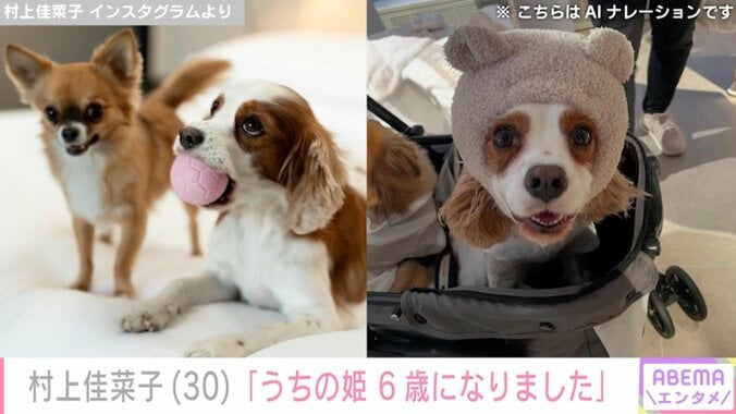 【写真・画像】夫の顔出し＆水着姿が話題・村上佳菜子（30）、愛犬の写真を公開「うちの姫 6歳になりました」　2枚目