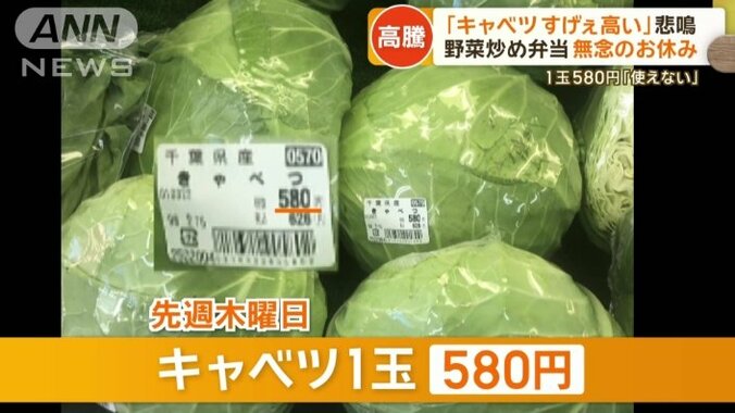 キャベツ1玉580円