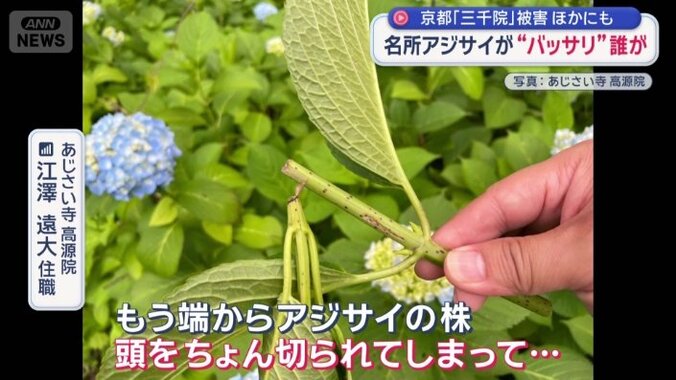 長野県でも被害