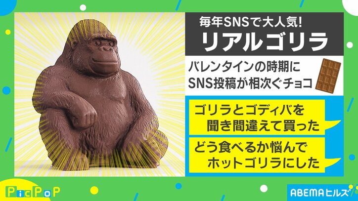 バレンタイン目前で売り切れ店続出！リアルすぎる”ゴリラチョコレート”が大人気 販売元おすすめの食べ方とは