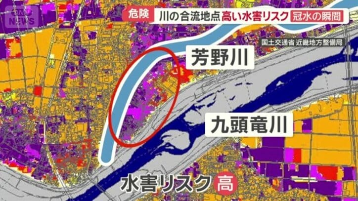 紫色が広がる