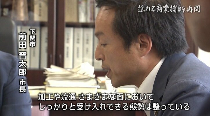 “航路は開けど、視界は不良”…商業捕鯨再開も、クジラの街・下関の関係者に残る不安