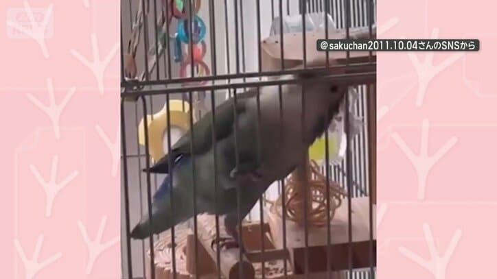 体を大きく上下…まるでロックスター！