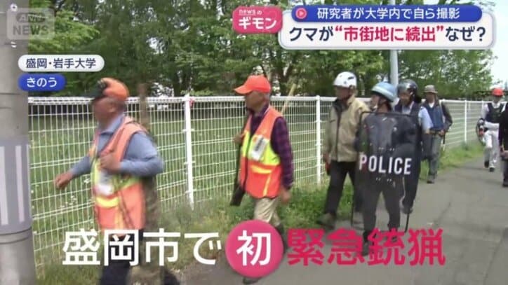 盛岡市では初めてとなる緊急銃猟の実施が決定