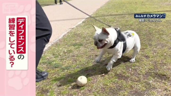 ディフェンスの練習なの？