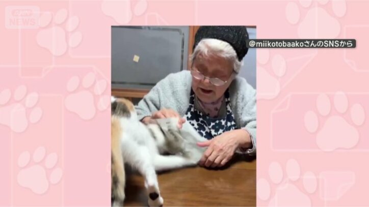 きょうも突っ込むニャン