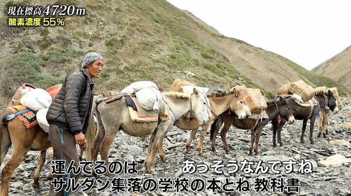 ヒマラヤに荒くれ者のチンピラ登場? 「早く行け!」怒号響く現場にナスDもドン引き