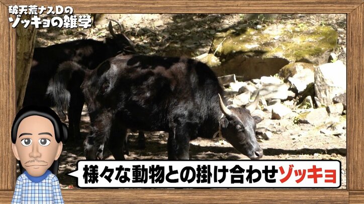 【写真・画像】 2枚目