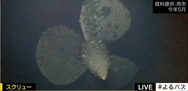 水深350mで眠る戦艦「大和」 ハイビジョン調査映像が公開
