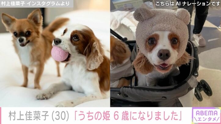 【写真・画像】夫の顔出し&水着姿が話題・村上佳菜子(30)、愛犬の写真を公開「うちの姫 6歳になりました」 2枚目