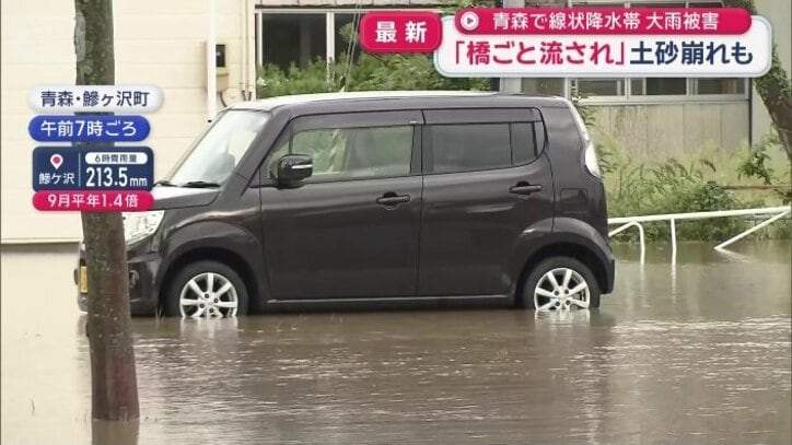 浸水する車