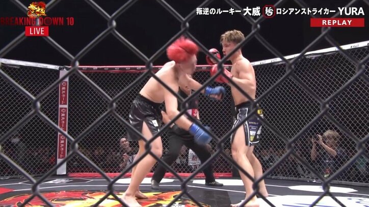 【画像】プロ格闘家、BD戦士に衝撃のKO負け（複数）