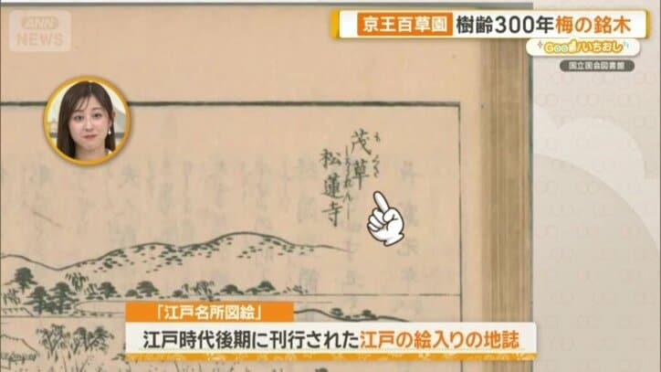 名称は当時の「松連寺」