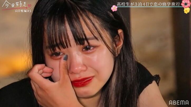 モテ男子・はるひと、一番人気のあやのに「今日告白したいです」ルール破りの告白！『今日好き』向日葵編第5話