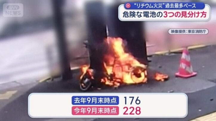 今年は過去最多を更新するペース