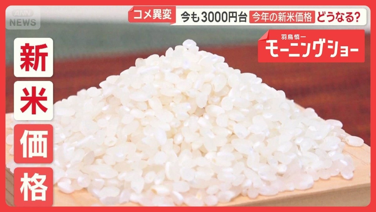 今年の新米価格どうなる？ コメ余り…農家「たぶん暴落」 田植え最盛期