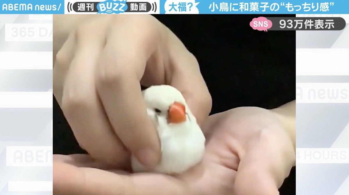 大福もち☆即購入可能です　0507 わたもち 60g×12個 生クリーム大福 (抹茶 小倉 黒ごま 紅茶