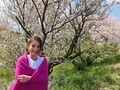 Niki、桜をバックに微笑むキュートなオフショットに「笑顔が素敵です」「春を感じますっっ」の声