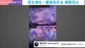まるで万華鏡？空と海を彩る絶景花火“奇跡の瞬間” 「綺麗すぎて言葉になりません」「アジサイみたいで凄く綺麗」など反響