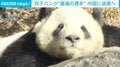 双子パンダ“最後の週末” 中国に返還へ