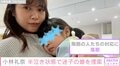 小林礼奈、娘が迷子になり捜索 周囲の対応に落胆「こういう時になぜ誰も『一緒に探しましょうか』と声かけてくれないの」