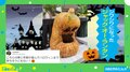 “しわしわ”になったジャック・オー・ランタン!? 急速に衰えていく姿に投稿者「ハロウィンまで保ちそうにない」 