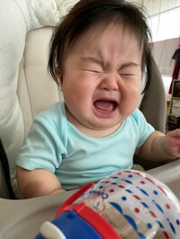 よめぽん（ANZEN漫才あらぽん嫁）『嬉しいようなー、』