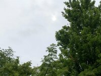 古村比呂『おはようございます』