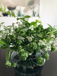 稲垣吾郎『コンキュサーレと聴いている』